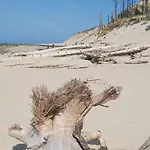 Lachez Prise Sauna Balneo Privatif En Baie D'authie Berck Sur Meuble De Tourisme Classe 3 Etoiles * Verton