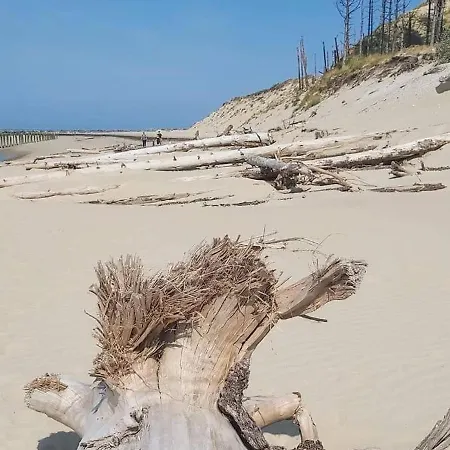 Lachez Prise Sauna Balneo Privatif En Baie D'authie Berck Sur Meuble De Tourisme Classe 3 Etoiles * Verton