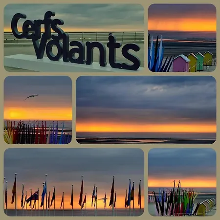 Lachez Prise Sauna Balneo Privatif En Baie D'authie Berck Sur Meuble De Tourisme Classe 3 Etoiles Feriehus *