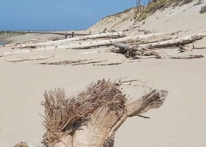 Lâchez Prise Sauna Balnéo Privatif En Baie D'authie Berck Sur Meublé De Tourisme Classé 3 étoiles * Verton